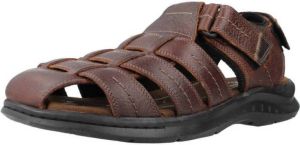 Clarks Sandalen WALKFORD FISH