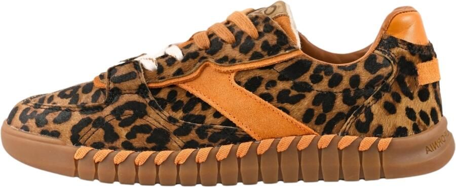 Colors of California Lage Sneakers HC.TAHOE20 LEO