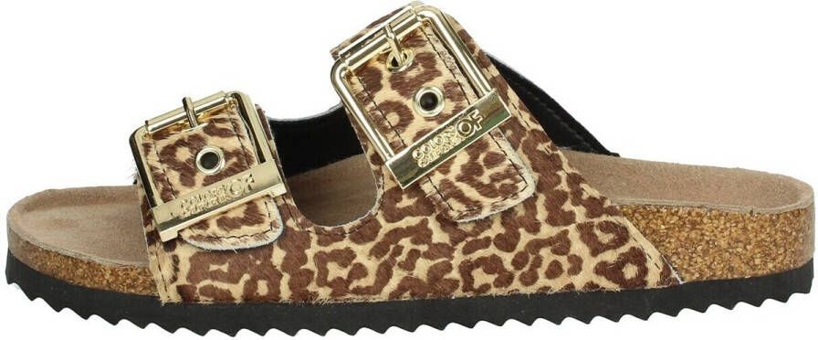 Colors of California Teenslippers HC.BIO502