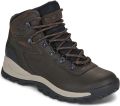 Columbia Wandelschoenen NEWTON RIDGE PLUS - Bruin