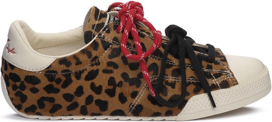Converse Sneakers CHUCK TAYLOR LO LEOPARD