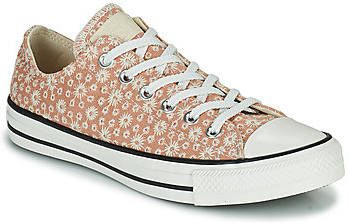 Converse Lage Sneakers CHUCK TAYLOR ALL STAR CANVAS BRODERIE OX