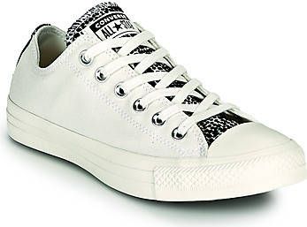 Converse Lage Sneakers CHUCK TAYLOR ALL STAR DIGITAL DAZE OX