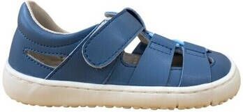 Coqueflex Sandalen 15248 SANDALIA RESPETUOSA Azulón