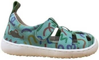 Coqueflex Sandalen 15248 SANDALIA RESPETUOSA Verde