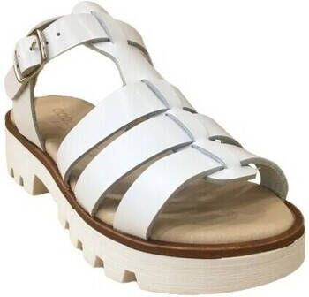 Coquette Sandalen 15212-V Blanco
