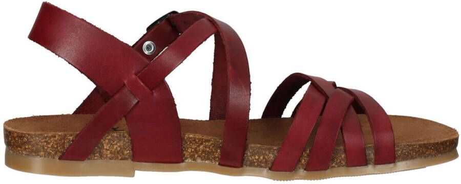 Cosmos Comfort Sandalen