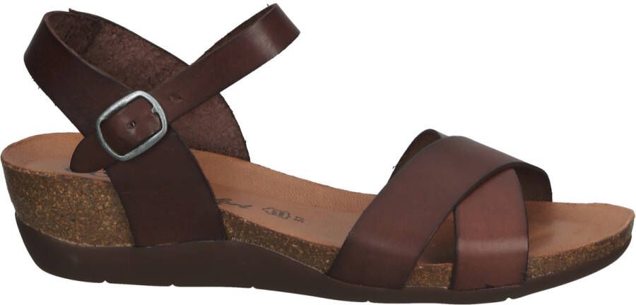 COSMOS COMFORT Sandalen met riem