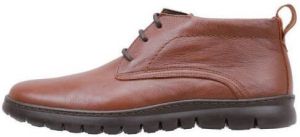 Cossimo Laarzen 2204