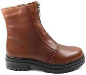 Creator Enkellaarzen DAMES enkellaars IB-2367 bruin