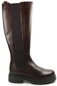 Creator Low Boots DAMES laars IB-2808 bruin