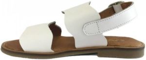 Críos Sandalen 25377-18