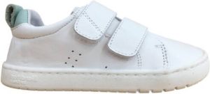 Críos Sneakers 27331-24