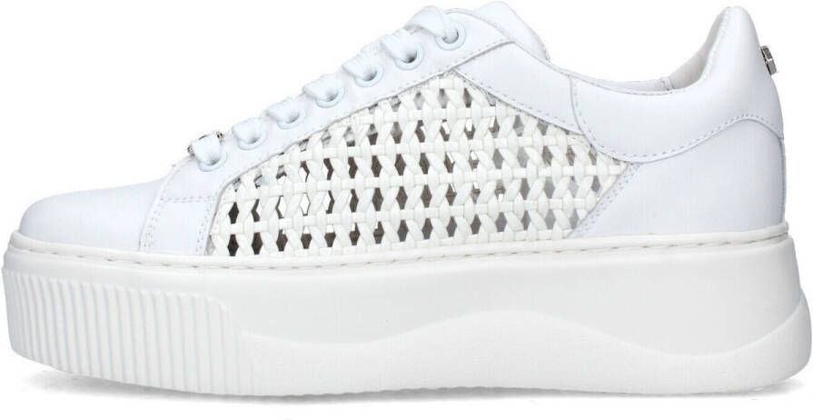 Cult Lage Sneakers CLW423700