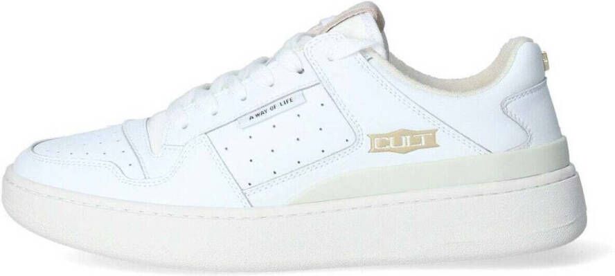 Cult Sneakers