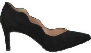 Daniela Vega Pumps ZAPATOS 1541TF SEÑORA NEGRO ANTE