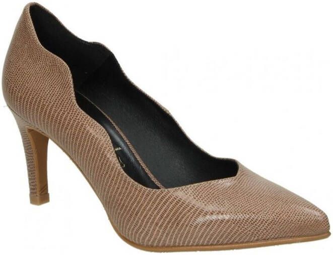 Daniela Vega Pumps 1541TF
