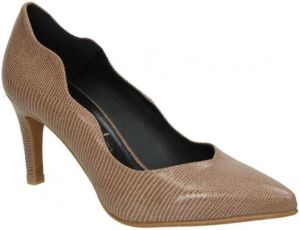 Daniela Vega Pumps ZAPATOS 1541TF SEÑORA TAUPE