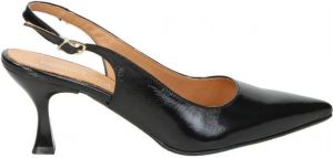 Daniela Vega Pumps ZAPATOS 2287 SEÑORA NEGRO