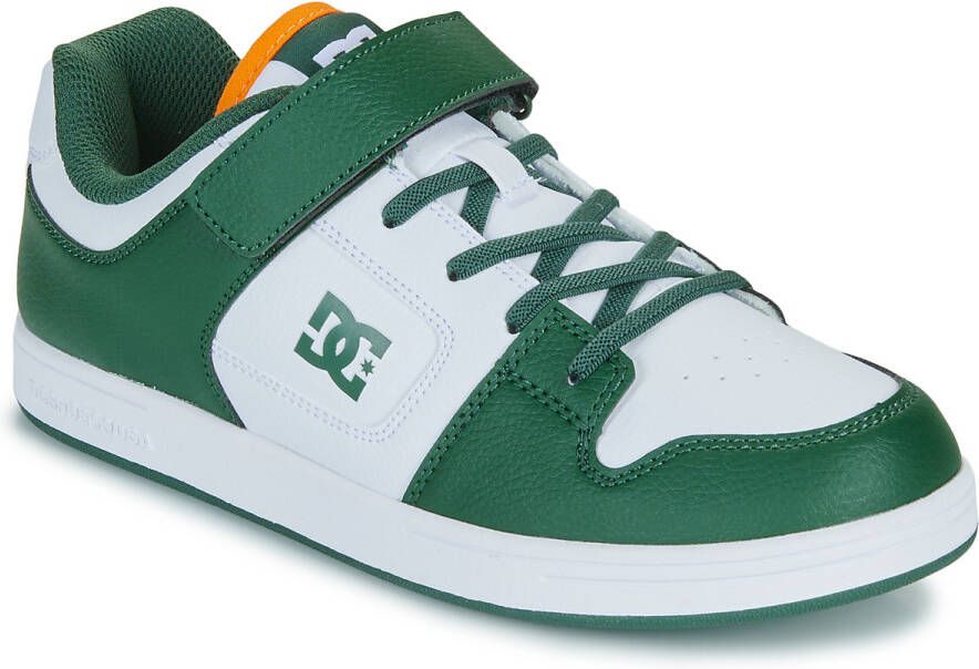 DC Shoes Lage Sneakers TECA 4 V SN