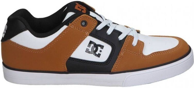 DC Shoes Pure Elastic Schoenen Bruin Jongen