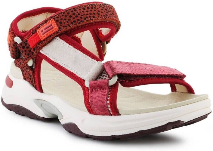 D.Franklin Sandalen DFSH406003BURG