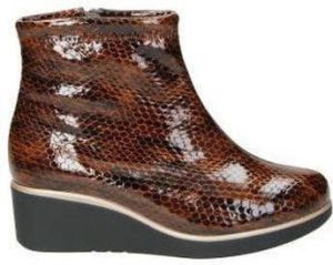 Doctor Cutillas Enkellaarzen BOTINES 64832 SEÑORA CUERO