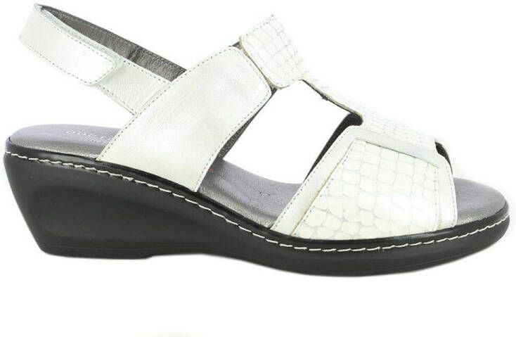 Doctor Cutillas Sandalen 32155 damessandaal