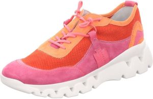 Donna Carolina Nette Schoenen