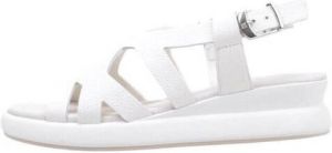 Dorking Sandalen SLAM D9087