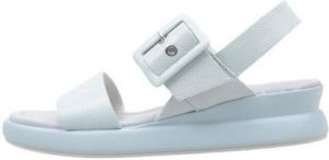 Dorking Sandalen SLAM D9088