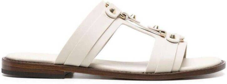 Doucal's Slippers