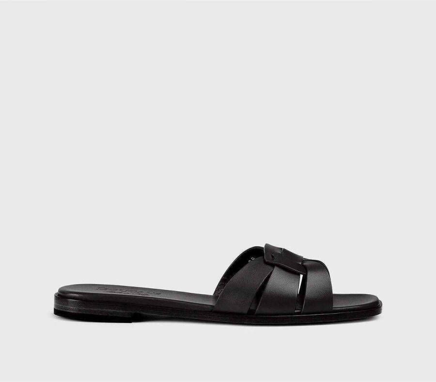 Doucal's Slippers