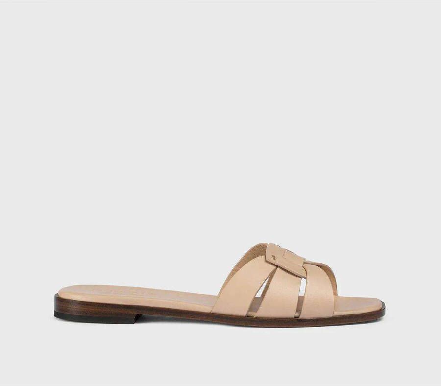 Doucal's Slippers