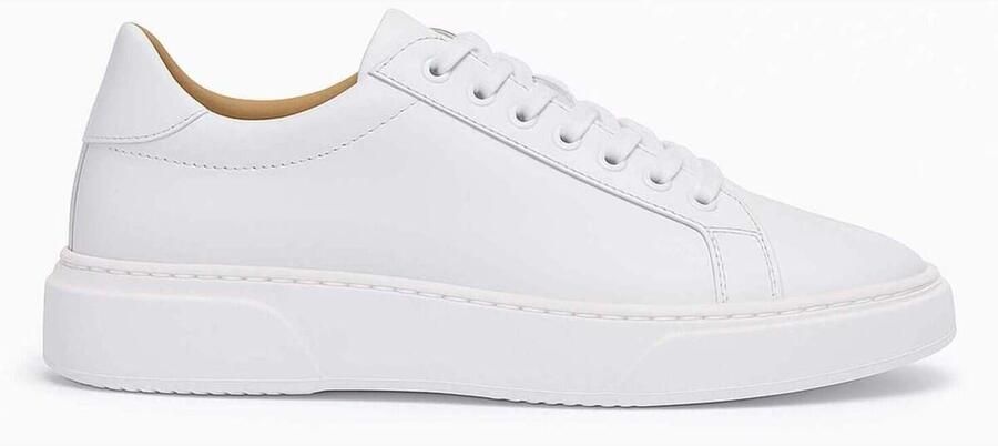 Duca Di Morrone Lage Sneakers FABRIZIO_PELLE