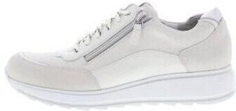 Durea Lage Sneakers 6263