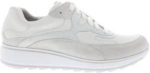 Durea Sneakers 6272 H