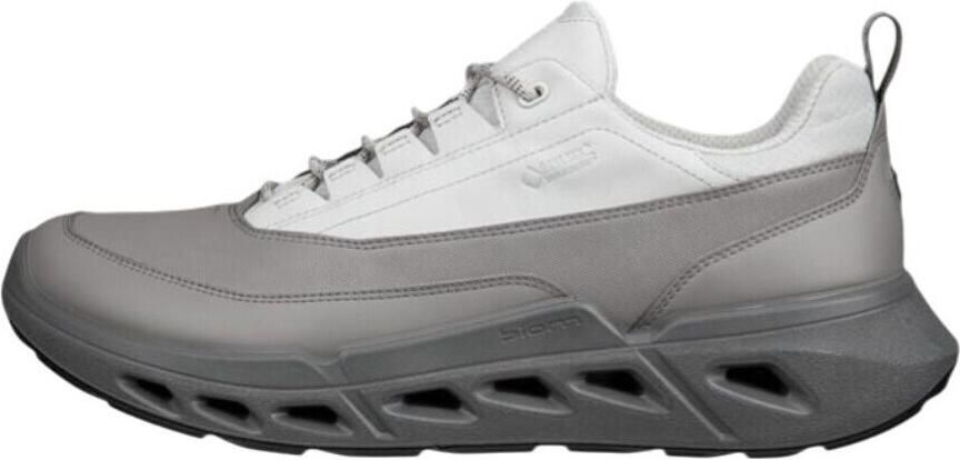 ECCO Lage Sneakers Biom 720 GTX