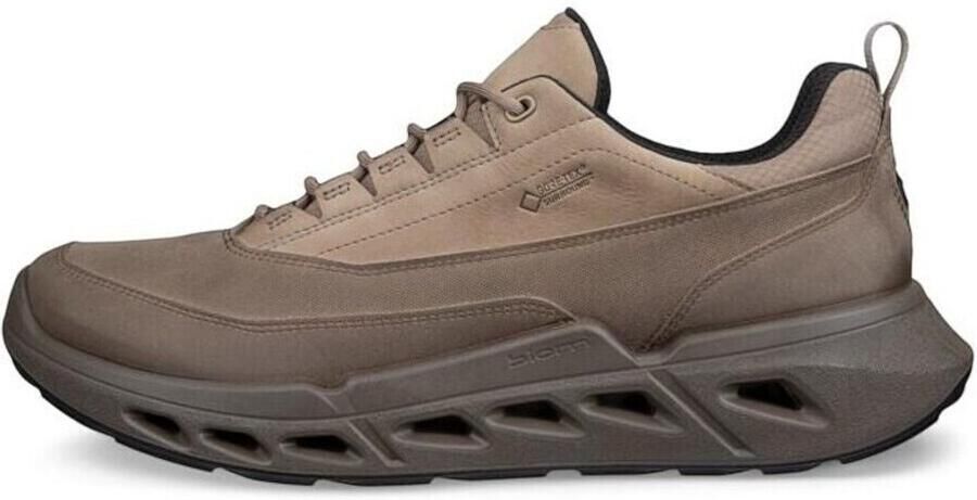 ECCO Lage Sneakers Biom 720 GTX