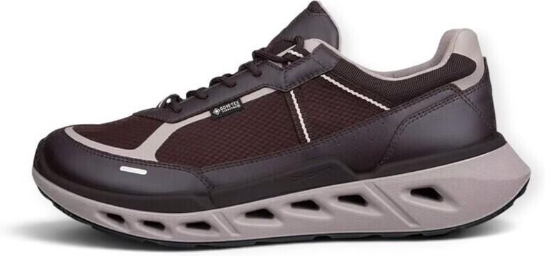 ECCO Sneakers Biom 720 GTX