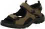 ECCO Terracruise leren heren sandalen Bruin Echt leer - Thumbnail 3