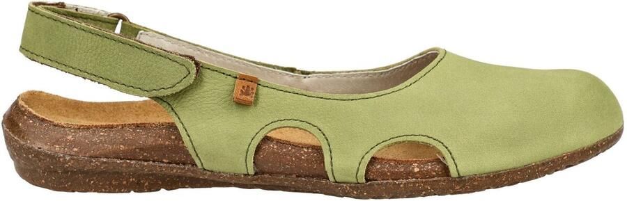 El Naturalista Ballerina's Ballerina´s