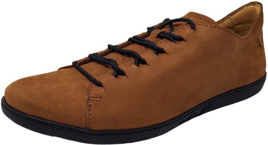 El Naturalista Nette Schoenen