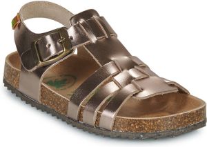 El Naturalista Sandalen Incognito