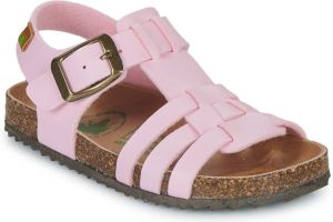 El Naturalista Sandalen Incognito