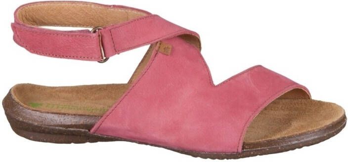 El Naturalista Sandalen Wakataua