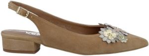 Estiletti Pumps 2637 Zapatos de Vestir de Mujer