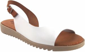 Eva Frutos Sportschoenen 1205 wit