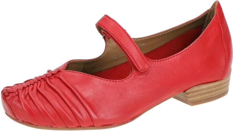 Everybody Ballerina's Galega Terra