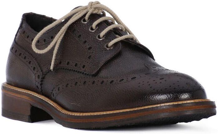 Exton Nette Schoenen CHICCO CASTAGNO